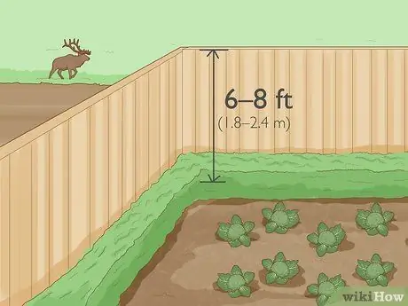 Защитить растения Шаг 8