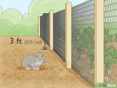 Защитите растения Шаг 9