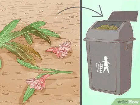 Чернослив Красный имбирь Шаг 4