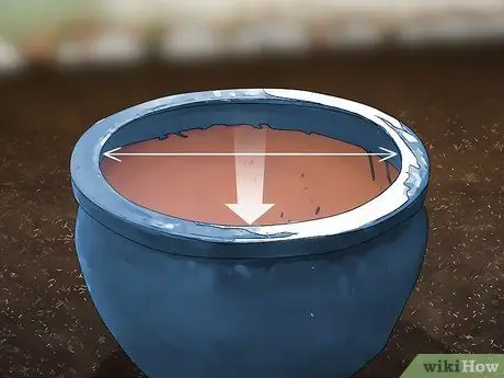 Посадить шпинат в горшок Шаг 1