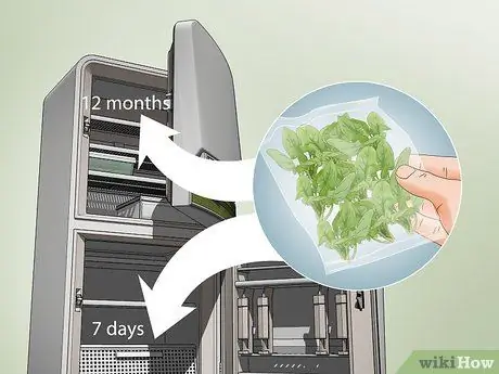 Посадить шпинат в горшочки Шаг 16