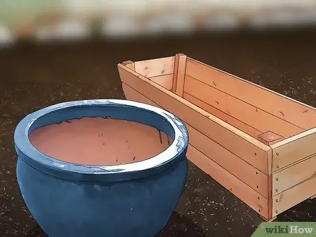 Посадите шпинат в горшок, шаг 2