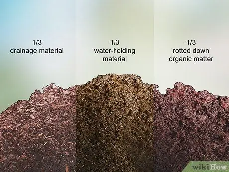 Посадить шпинат в горшок Шаг 4