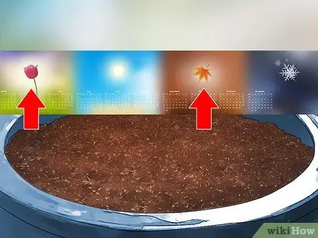 Посадить шпинат в горшок Шаг 7