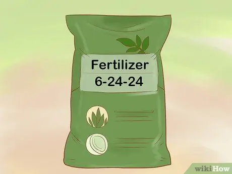 Обрезка старых яблонь Шаг 13