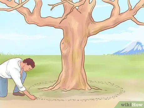 Обрезка старых яблонь Шаг 14