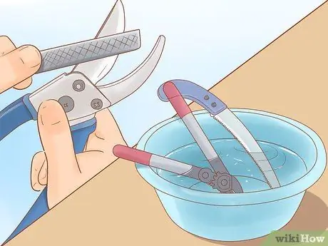 Обрезка старых яблонь Шаг 4