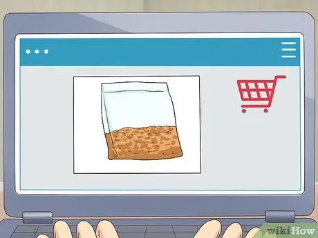 Растение Винка Минор Шаг 1