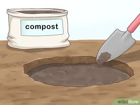 Растение Винка Минор Шаг 10