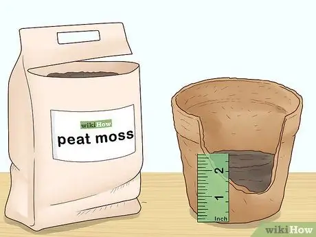 Растение Винка Минор Шаг 2