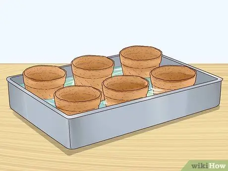 Посадить Винку Минор Шаг 3