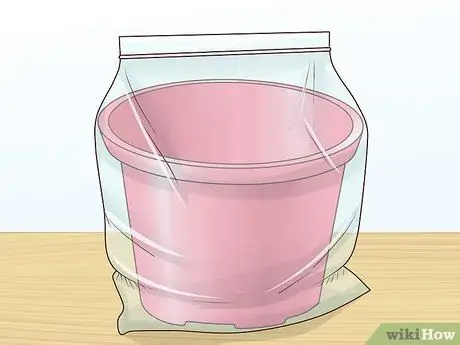 Растение Винка Минор Шаг 6