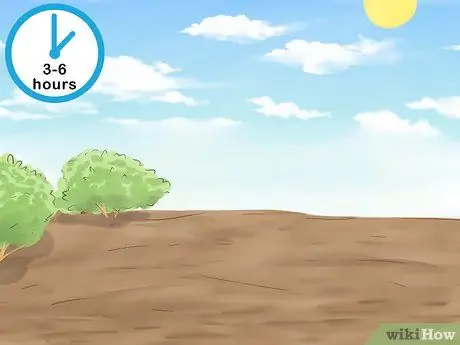 Растение Винка Минор Шаг 9