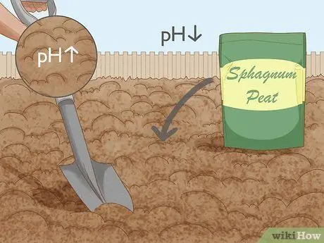 Подготовка почвы для посадки трав Шаг 6