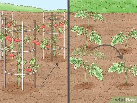 Подготовка почвы для органического сада Шаг 3