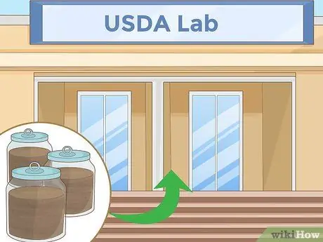 Изменение цвета гортензии Шаг 2