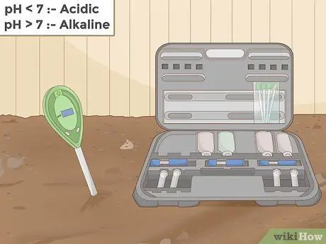 Изменение цвета гортензии Шаг 3