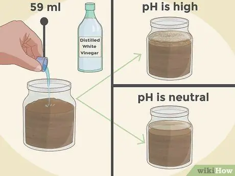 Изменение цвета гортензии Шаг 4