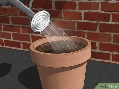 Сделайте черенки Шаг 10