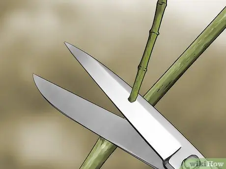 Сделайте черенки Шаг 6