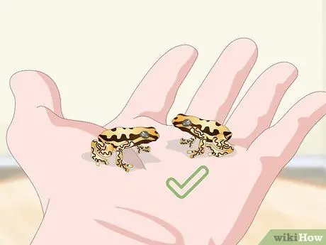 Постройте виварий Шаг 1