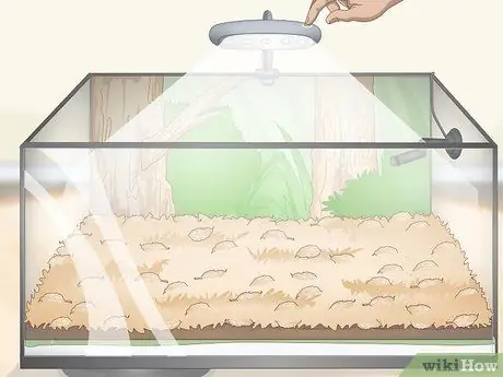 Постройте виварий Шаг 12