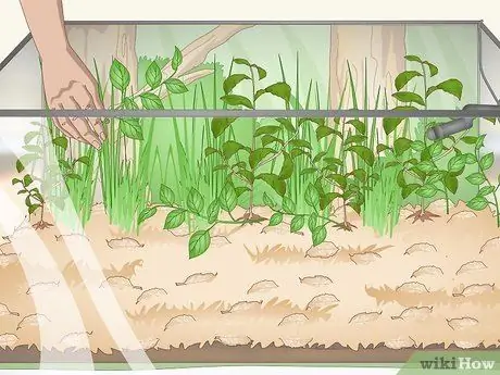 Постройте виварий Шаг 13