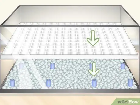 Постройте виварий Шаг 5