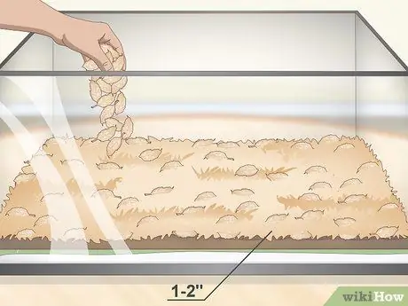 Постройте виварий Шаг 8