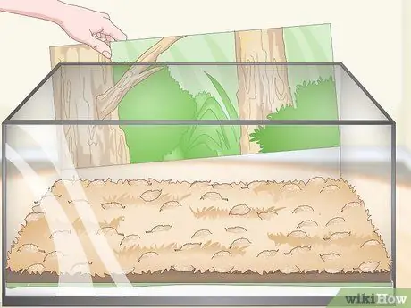 Постройте виварий Шаг 9