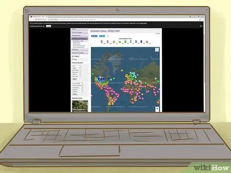 Посадить лозу, шаг 2