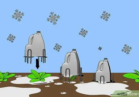 Сделайте садовые горячие шапочки из использованных кувшинов для молока Шаг 5