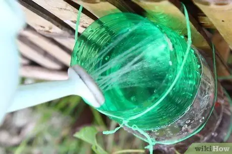 Создайте вертикальный сад из газированных бутылок Шаг 16