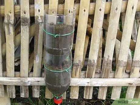 Создайте вертикальный сад из газированных бутылок Шаг 8