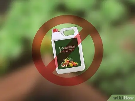 Уменьшите углеродный след в саду Шаг 9