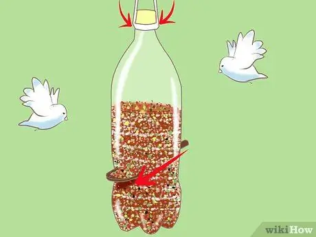 Повторное использование пластиковых бутылок для вашего сада Шаг 12