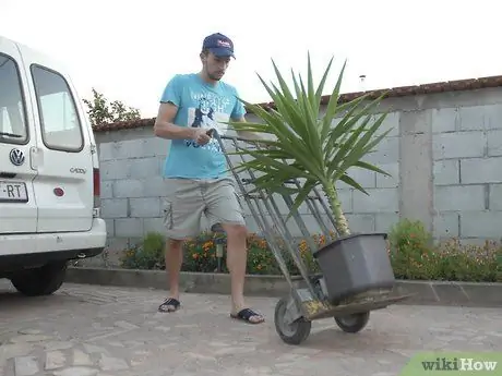 Введение в Move Big Pots