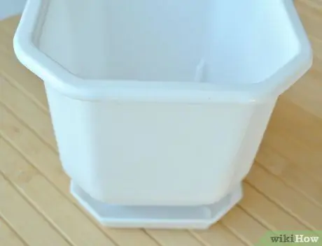 Сделайте кашпо из ракушек, шаг 1
