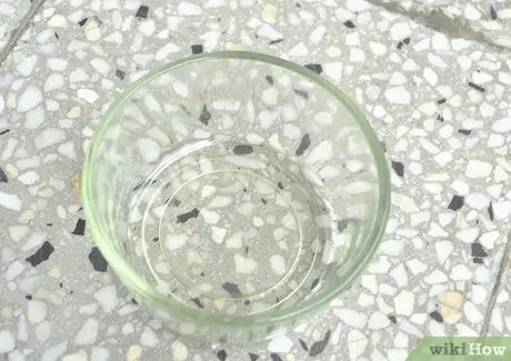 Создание вазоны для воды Cat Шаг 1