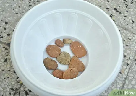 Создание вазоны для воды Cat Шаг 5