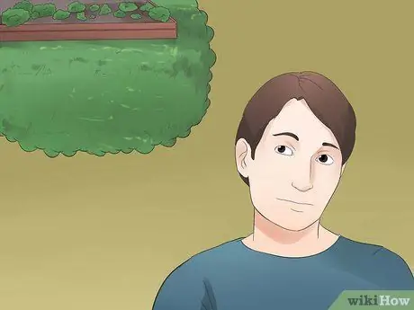 Выращивание женьшеня, шаг 2