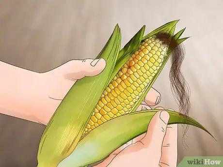 Сбор кукурузы Шаг 6