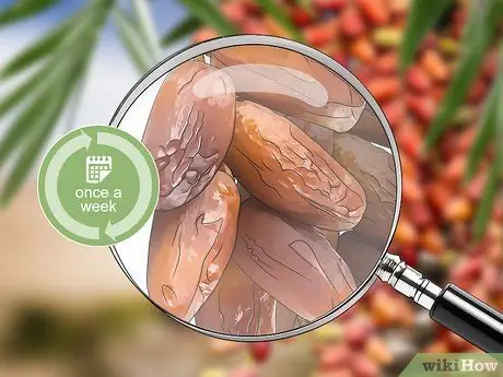 Даты сбора урожая, шаг 3 Даты сбора урожая, шаг 3