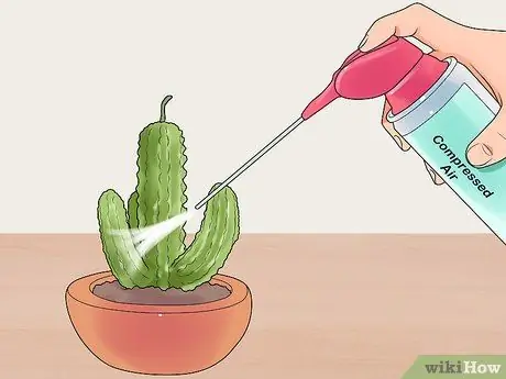 Чистые листья растений, шаг 5