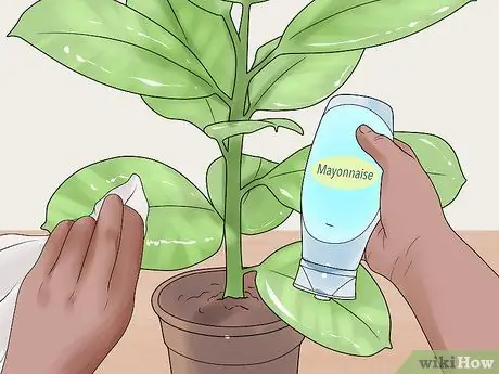 Чистые листья растений, шаг 6