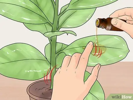 Чистые листья растений, шаг 7
