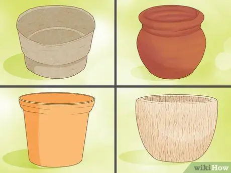 Уход за сансевиерией или змеиным растением Шаг 2