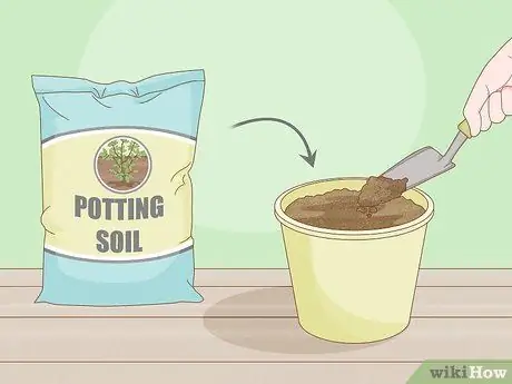 Вырастить растение без почвы Шаг 7