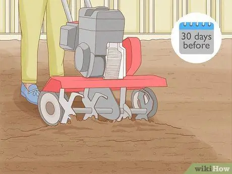 Защитите свой сад от насекомых Шаг 1