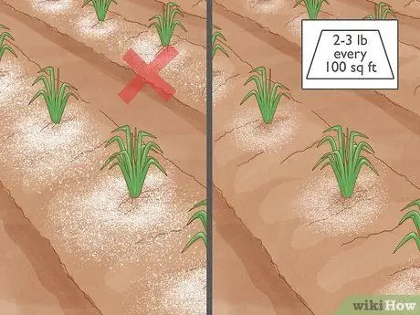 Защитите свой сад от насекомых Шаг 10